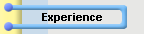 Experience
